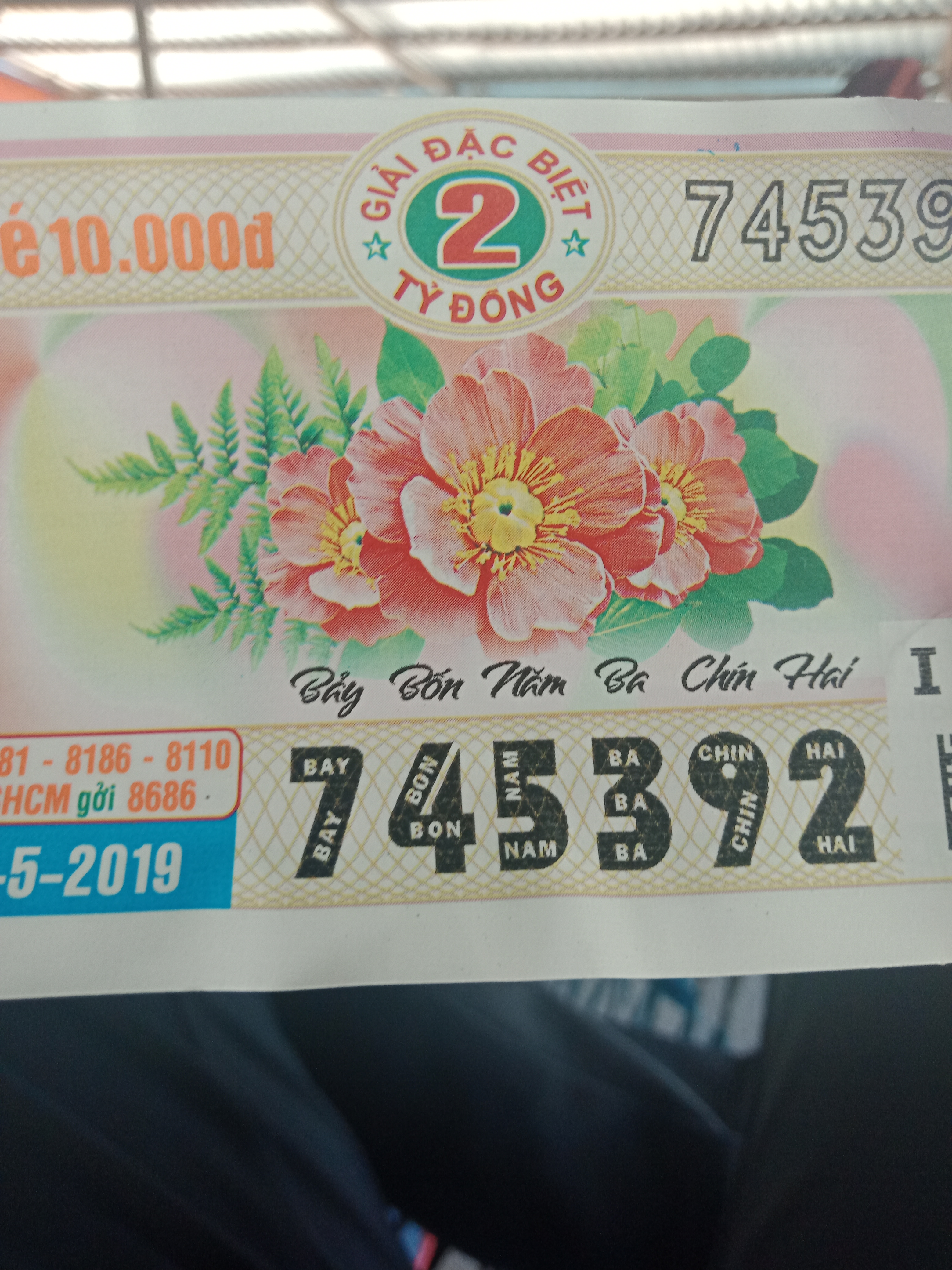 15583374342190.22620707105755722.jpg
