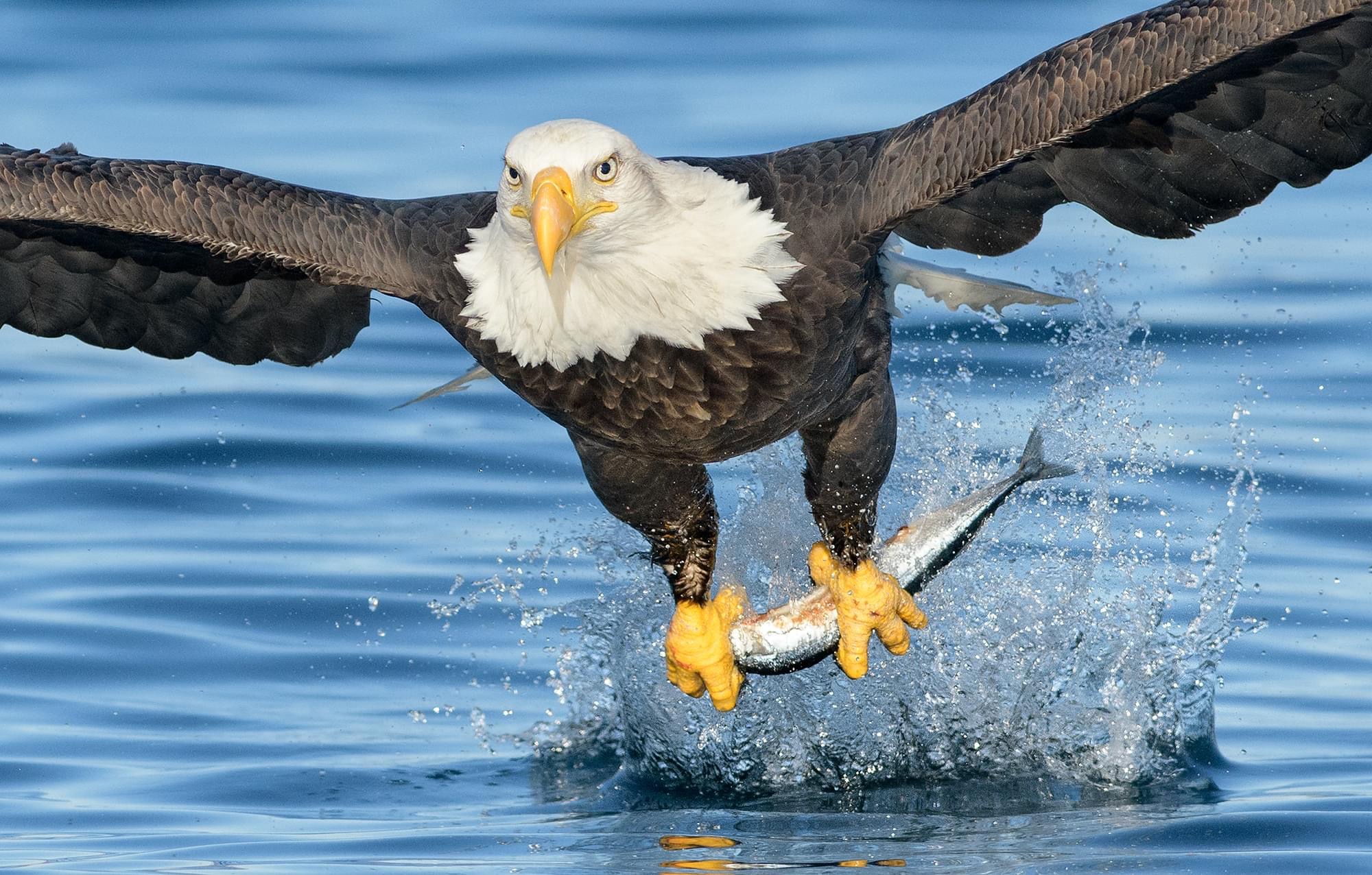 156D0C9E-2248-436C-9B02-292F8D63160B.jpeg