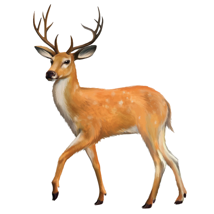 16.png