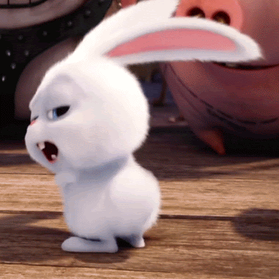 1632686730_545_Anh-dong-cute-dep.gif