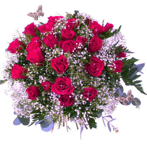 17015578.gif