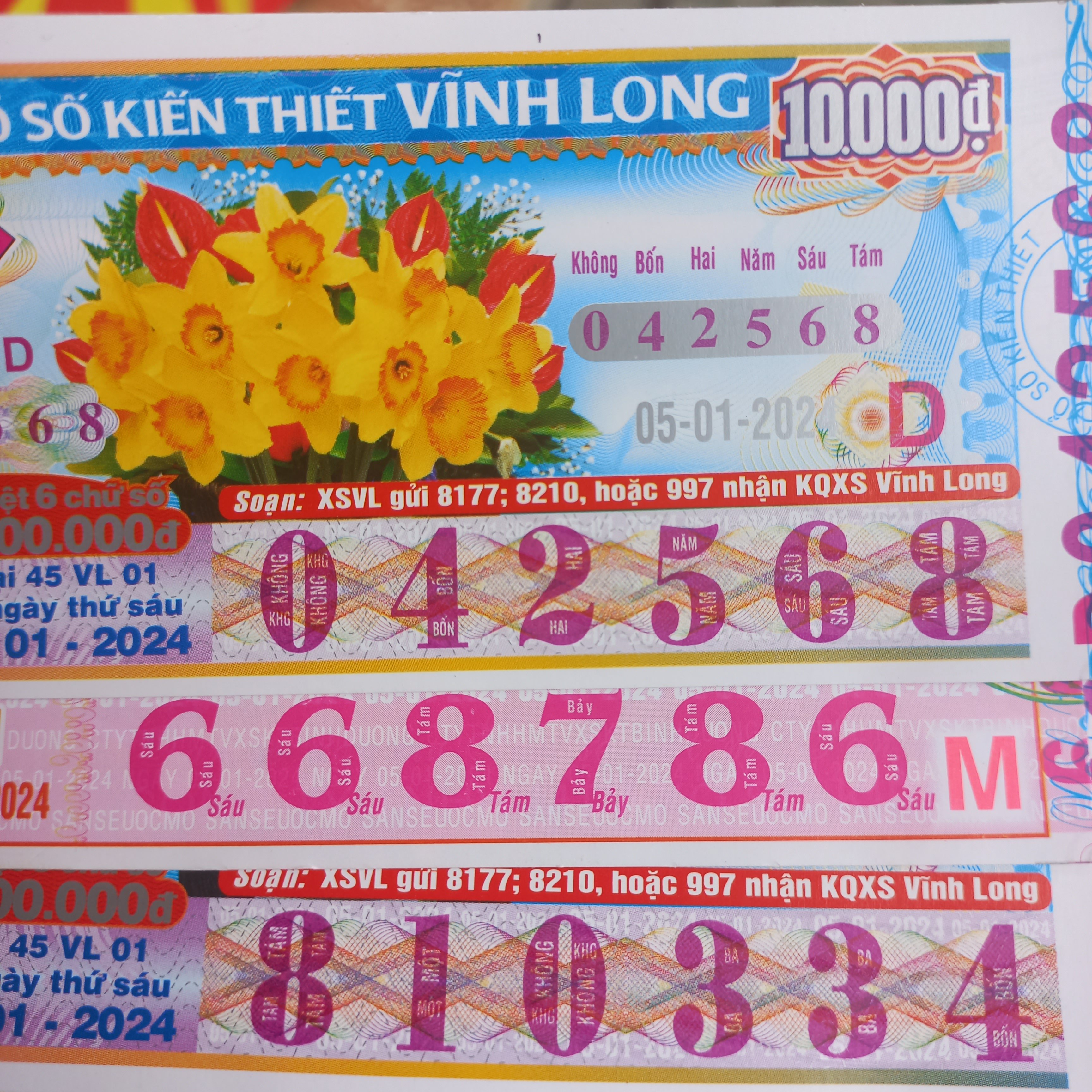 1704444328273273184624623670230.jpg