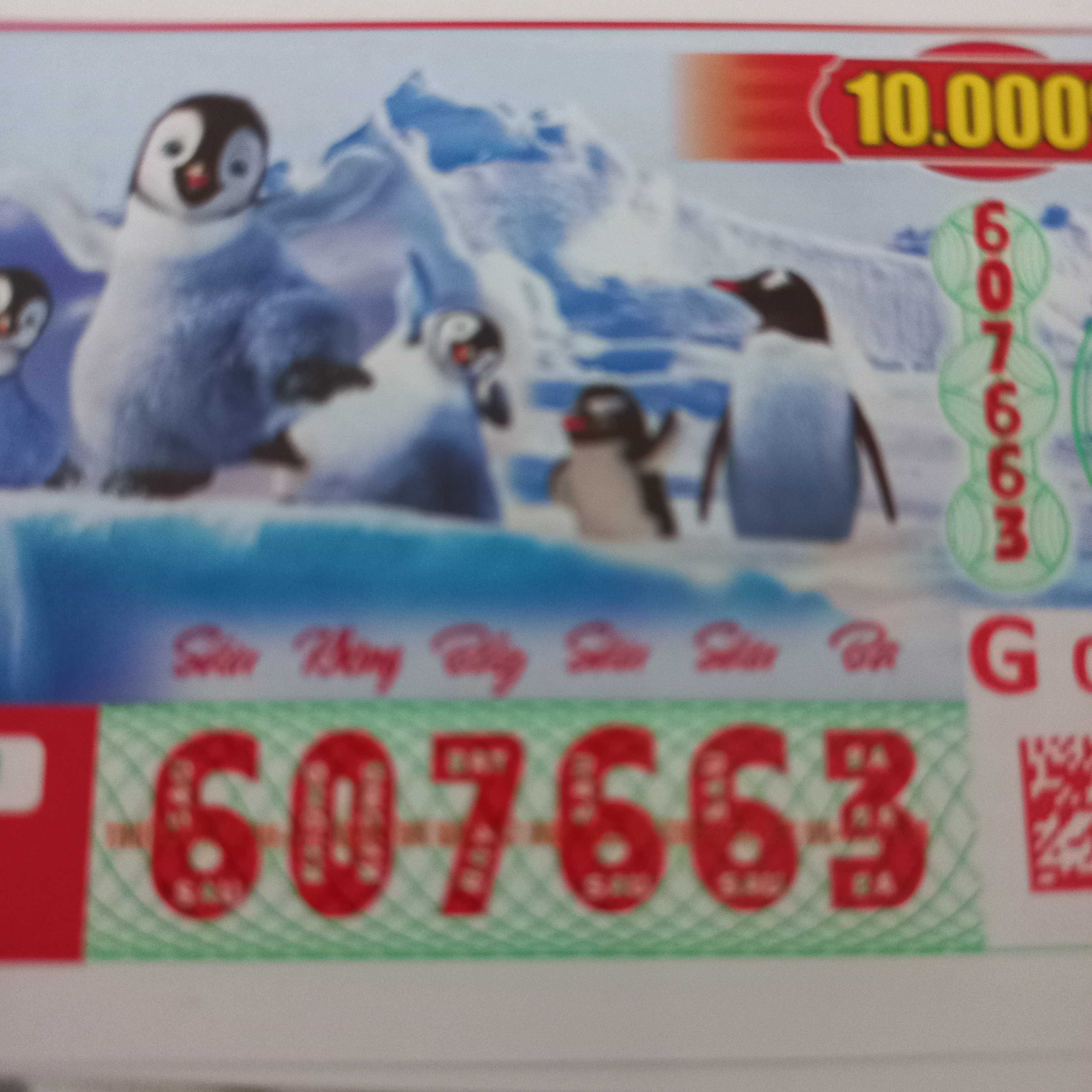 17045228979871210271197300234913.jpg
