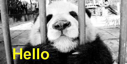 177820-Hello.gif