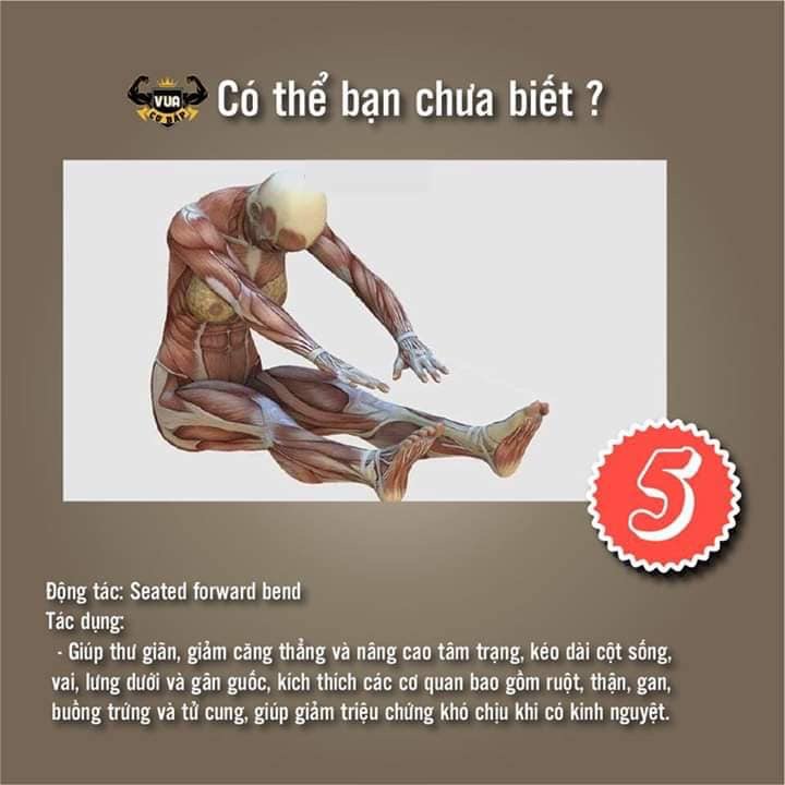1DEBBAB0-C333-4205-95DB-5AD9E2C7DA17.jpeg