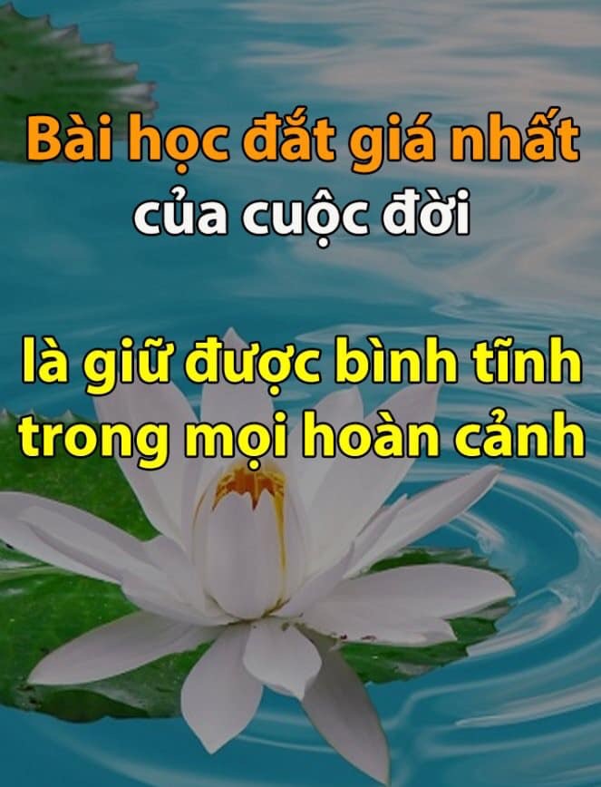 1E9E8104-90EA-4318-A588-40B09E7EACAA.jpeg