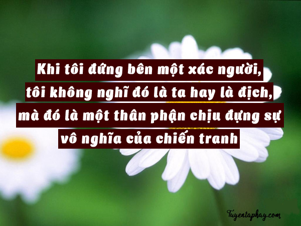 20-loi-noi-bat-hu-cua-nhac-si-trinh-cong-son-hinh-anh-17[1].jpg
