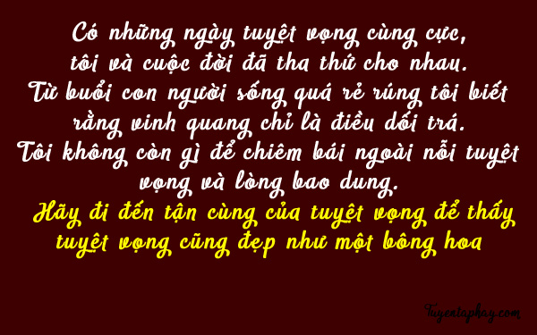 20-loi-noi-bat-hu-cua-nhac-si-trinh-cong-son-hinh-anh-5[1].jpg