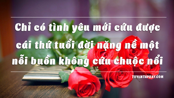 20-loi-noi-bat-hu-cua-nhac-si-trinh-cong-son-hinh-anh-7[1].jpg