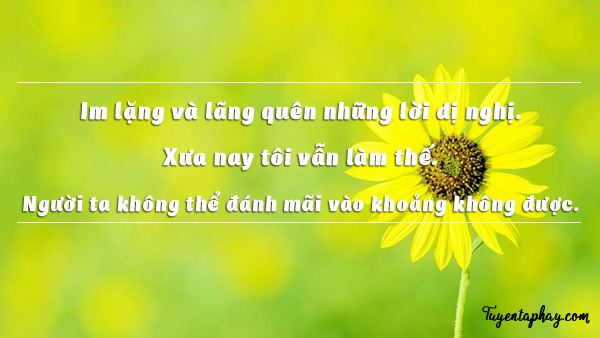 20-loi-noi-bat-hu-cua-nhac-si-trinh-cong-son-hinh-anh-9[1].jpg