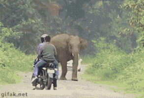 200 (1).gif