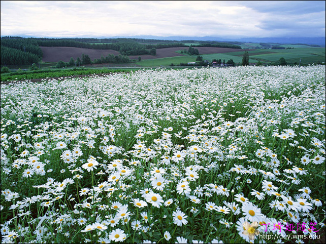 20093142389587[1].jpg