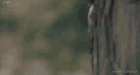 200w (16).gif