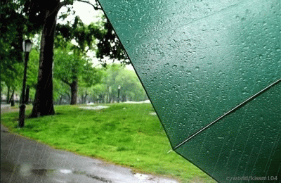 20100616_202410_9137a484ccef458c94563eddf5ec8d4d[1].gif