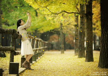 2013%2B-%2B1%2B%281%29[1].gif