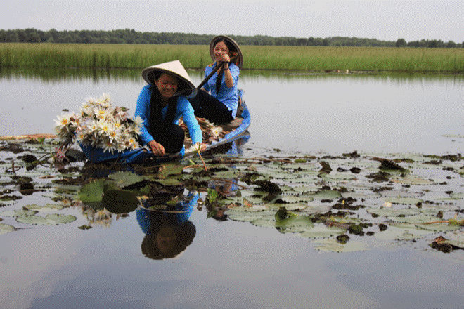 20140402-ngam-seu-dau-do-giua-rung-tram-hoang-so-8[1].gif