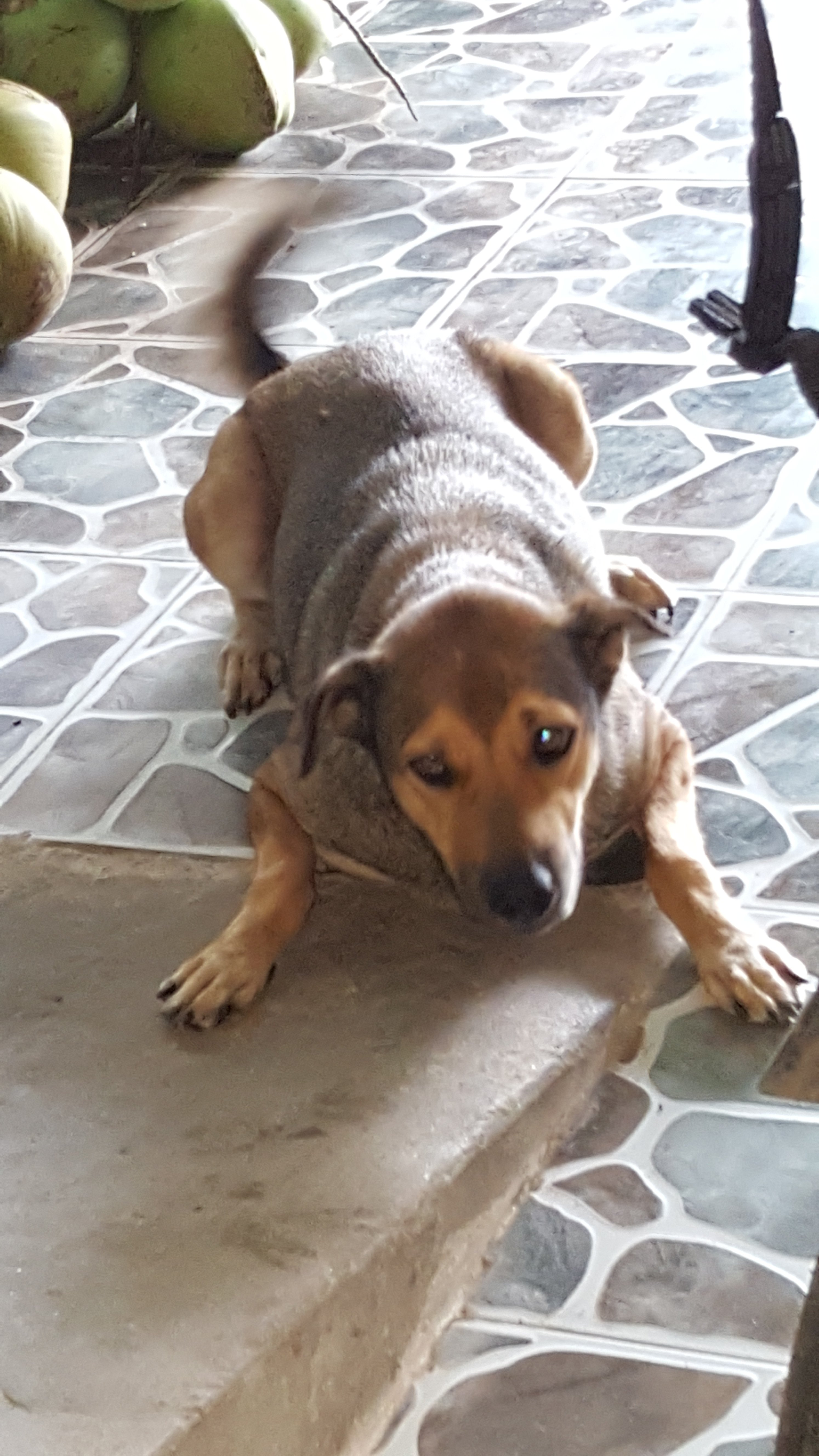 20160624_091653.jpg