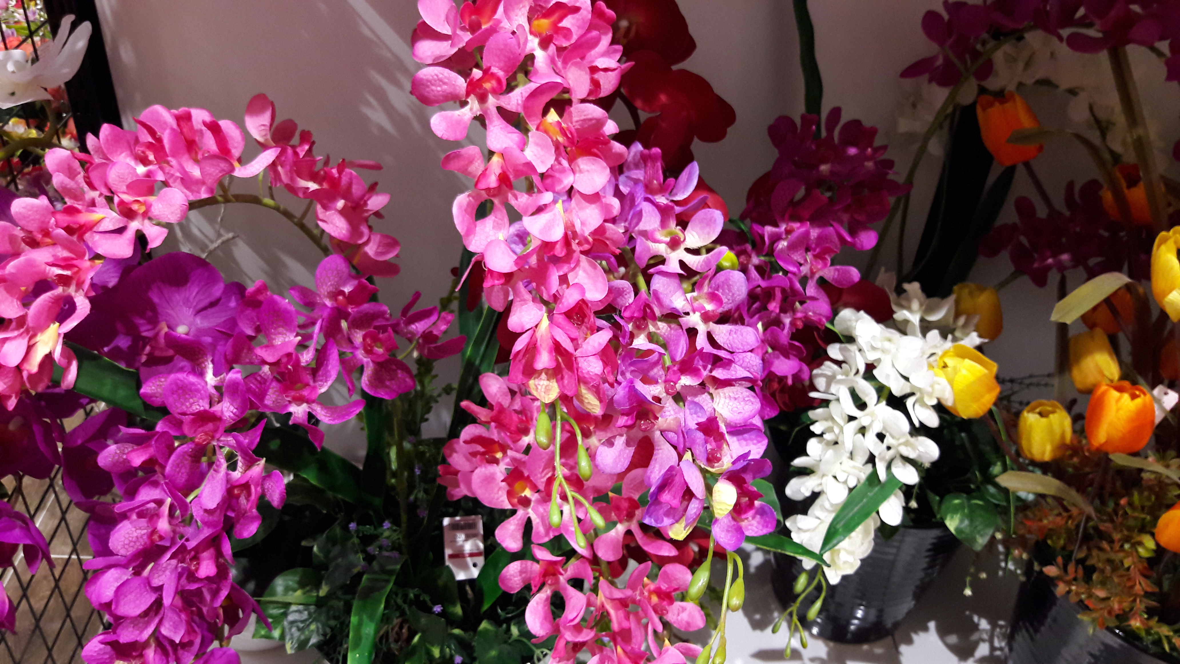 20160716_203925.jpg