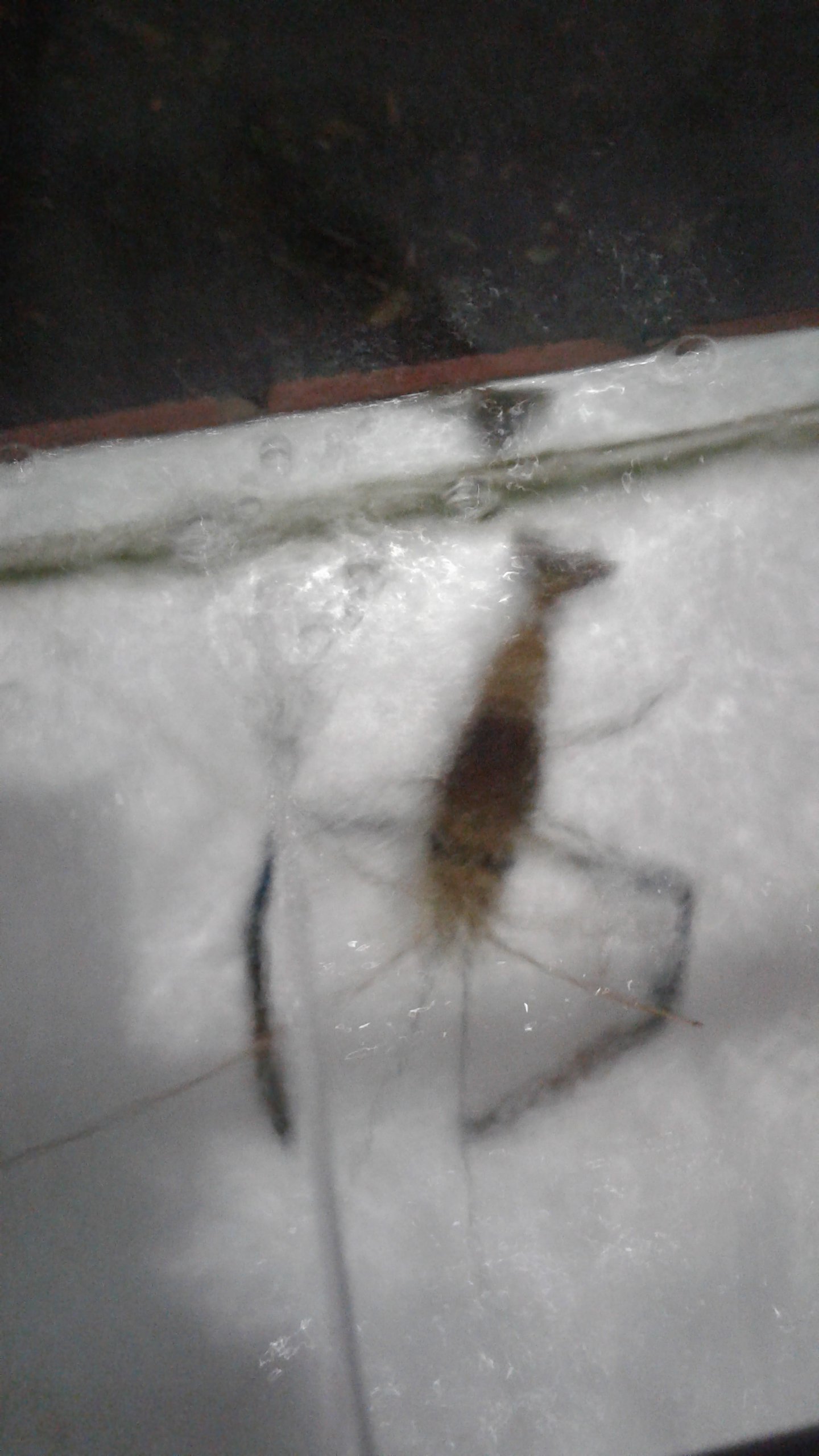 20160901_194713.jpg