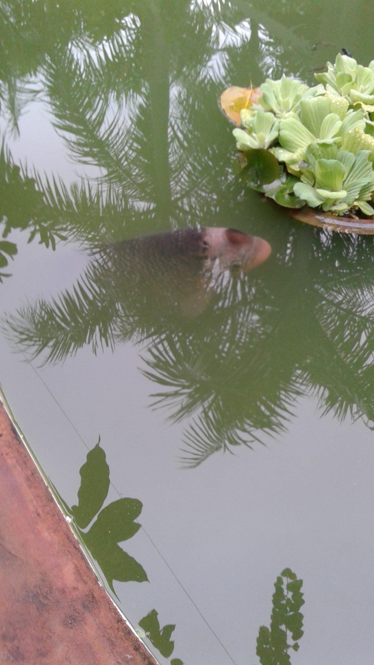 20160923_065113.jpg