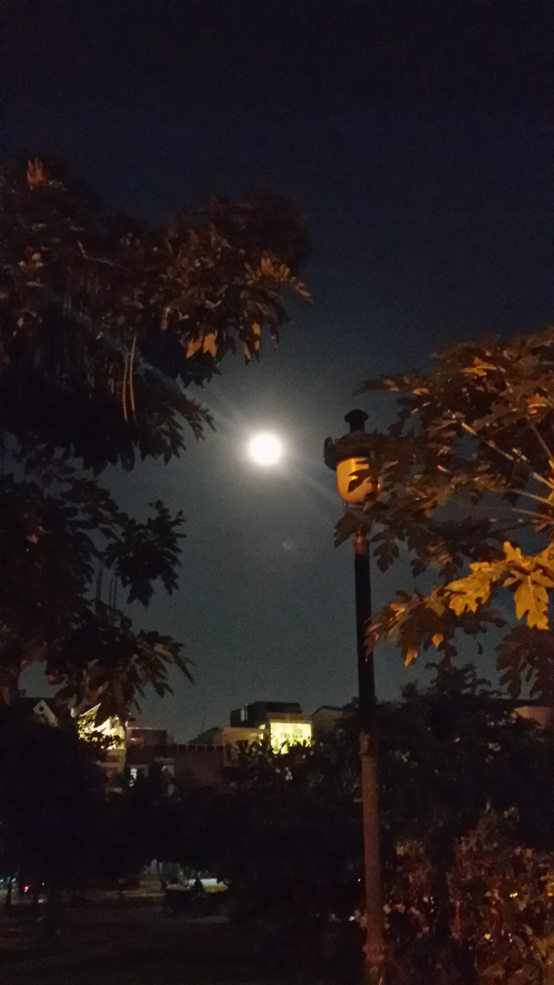 20161114_191432_LLS.jpg