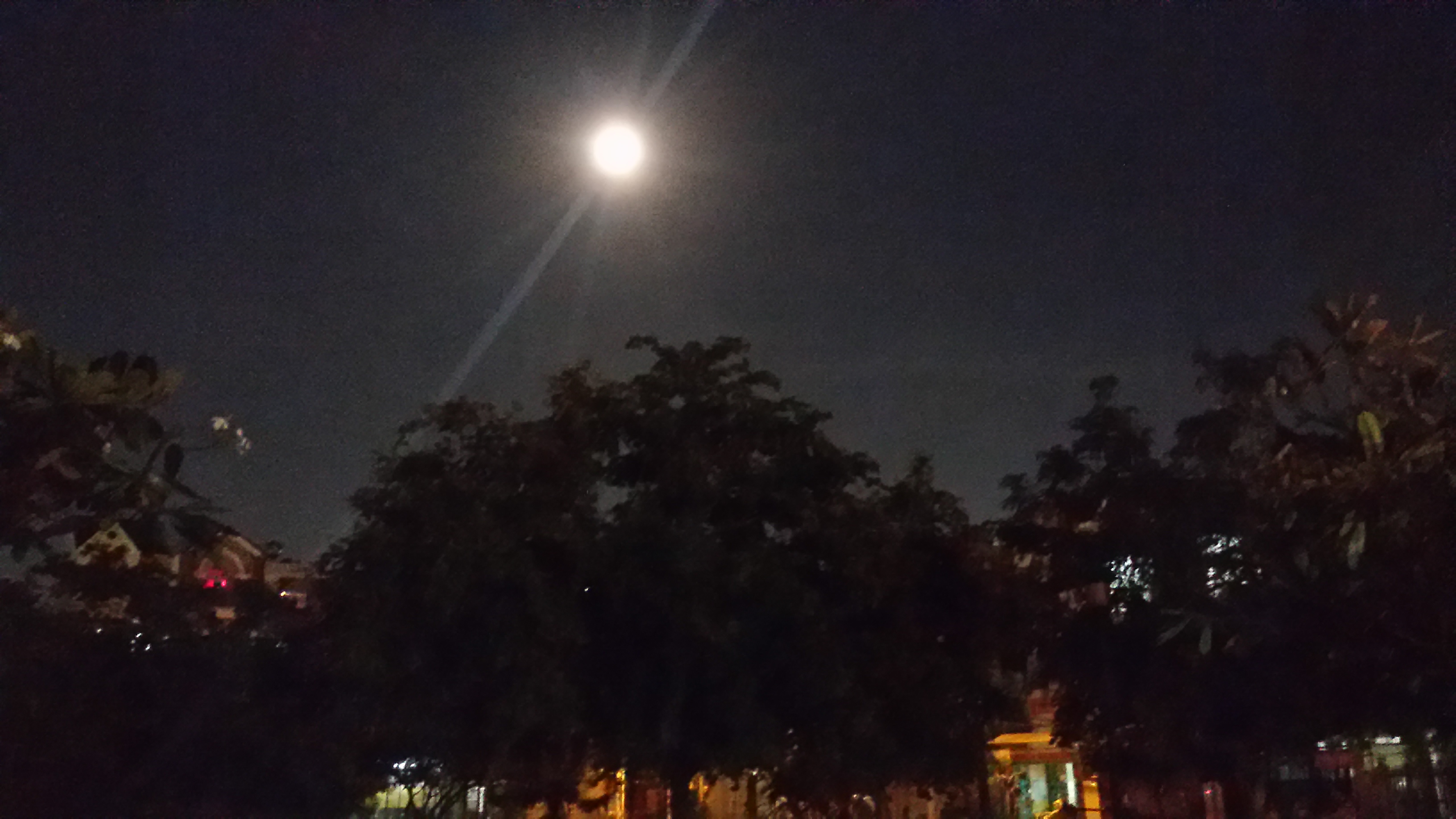 20161114_192302_LLS.jpg