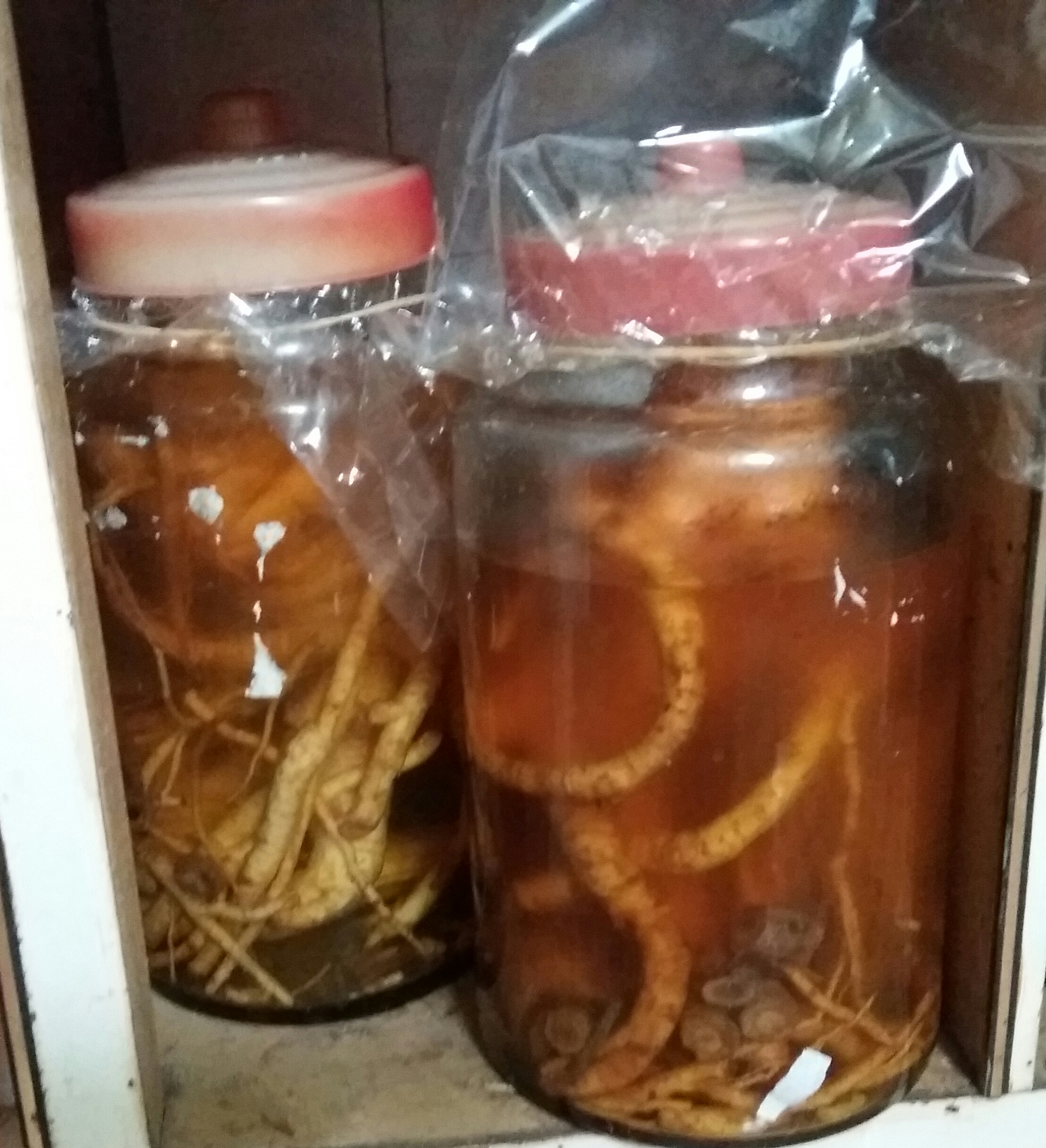 20161115_115910.jpg