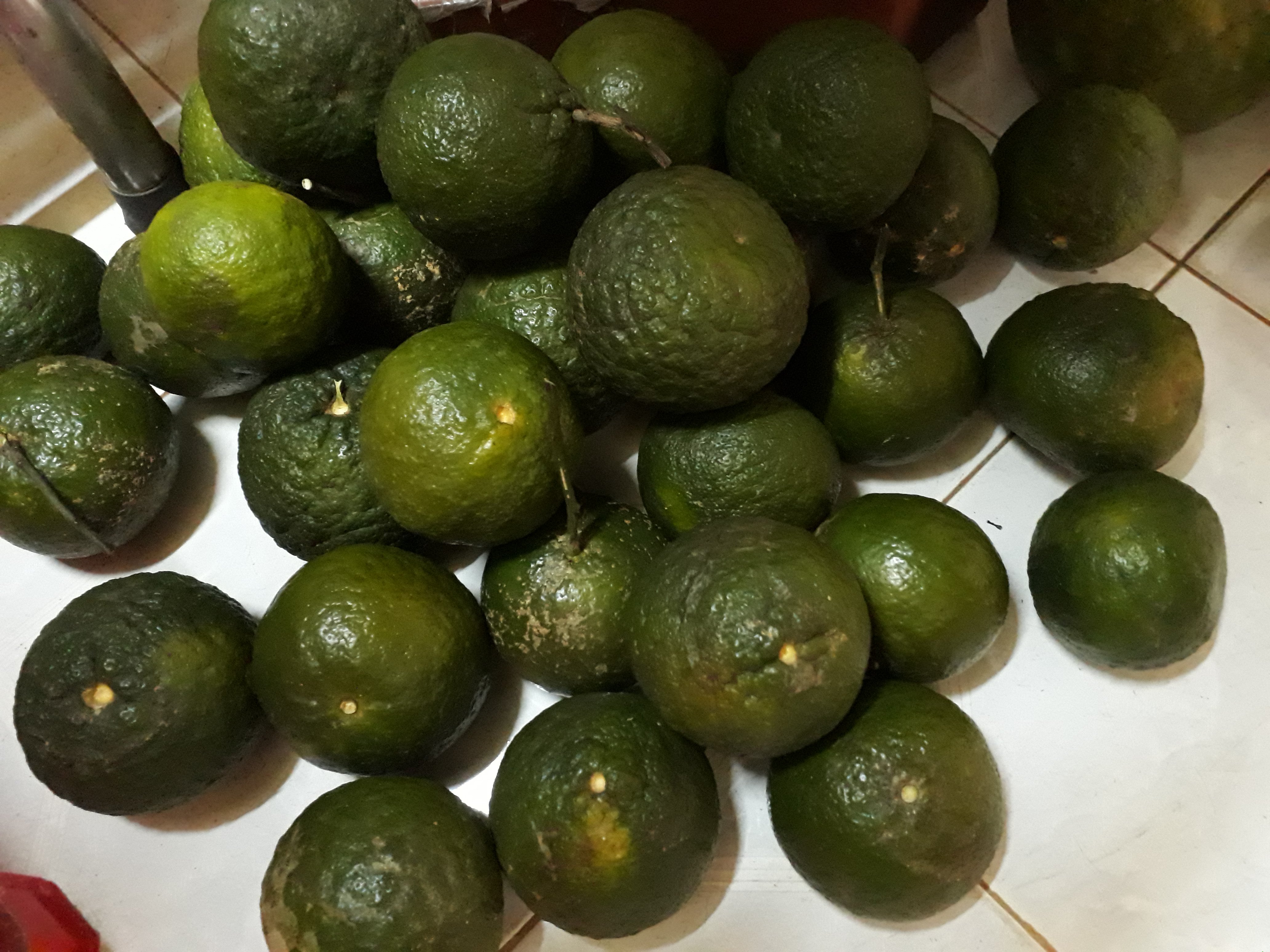 20161118_131234.jpg