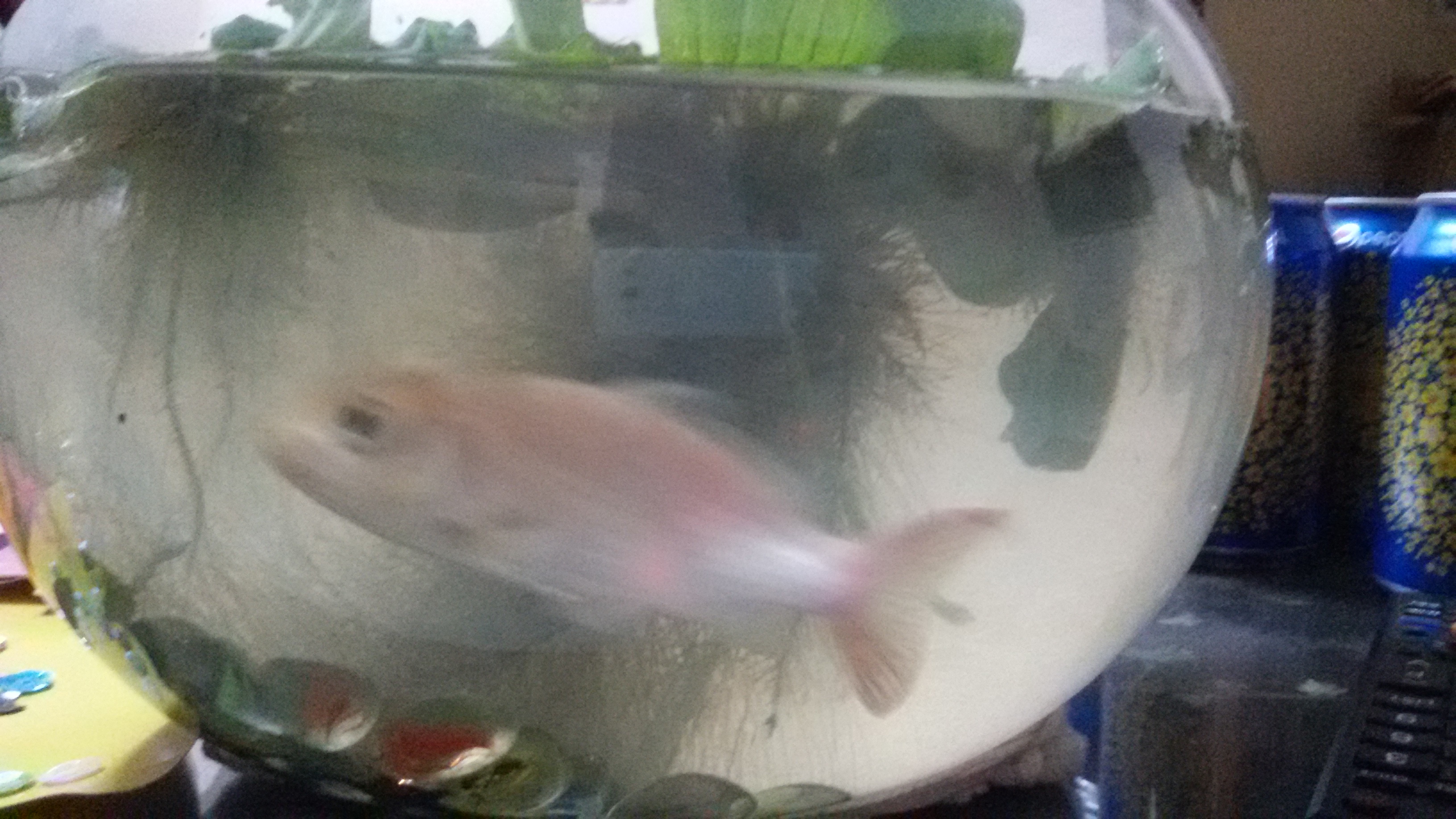 20161211_191910.jpg