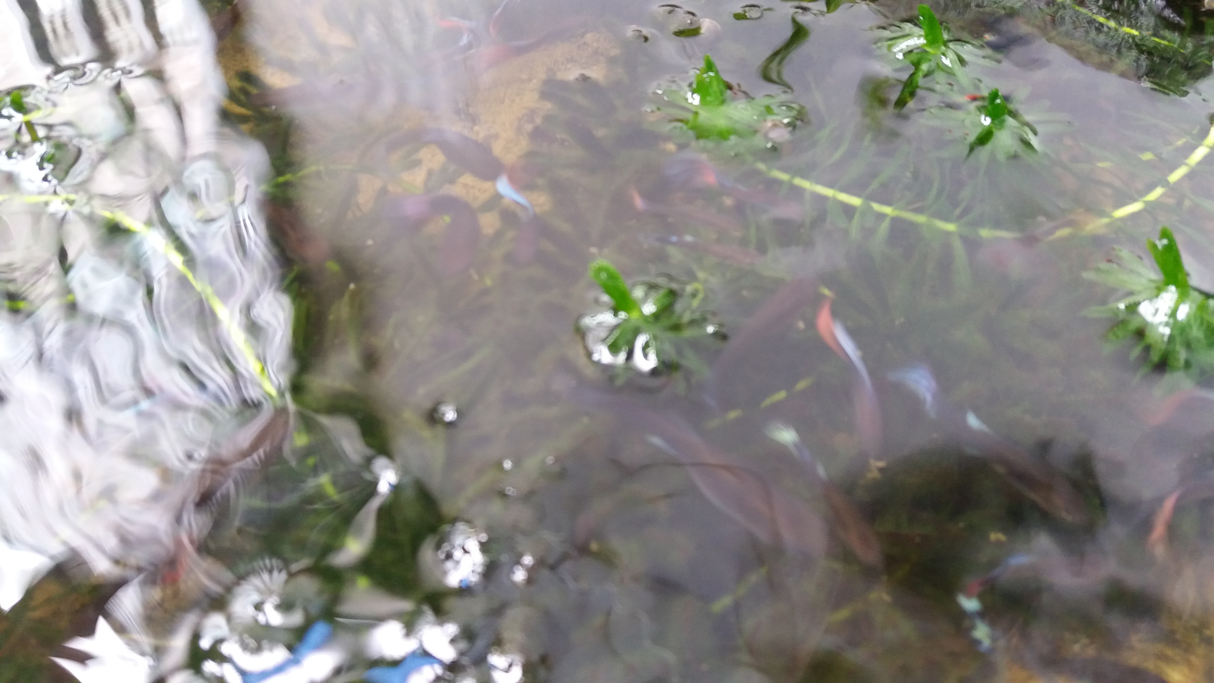 20161215_115052.jpg