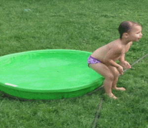 20161219-031848-twgiphy_300x259.gif