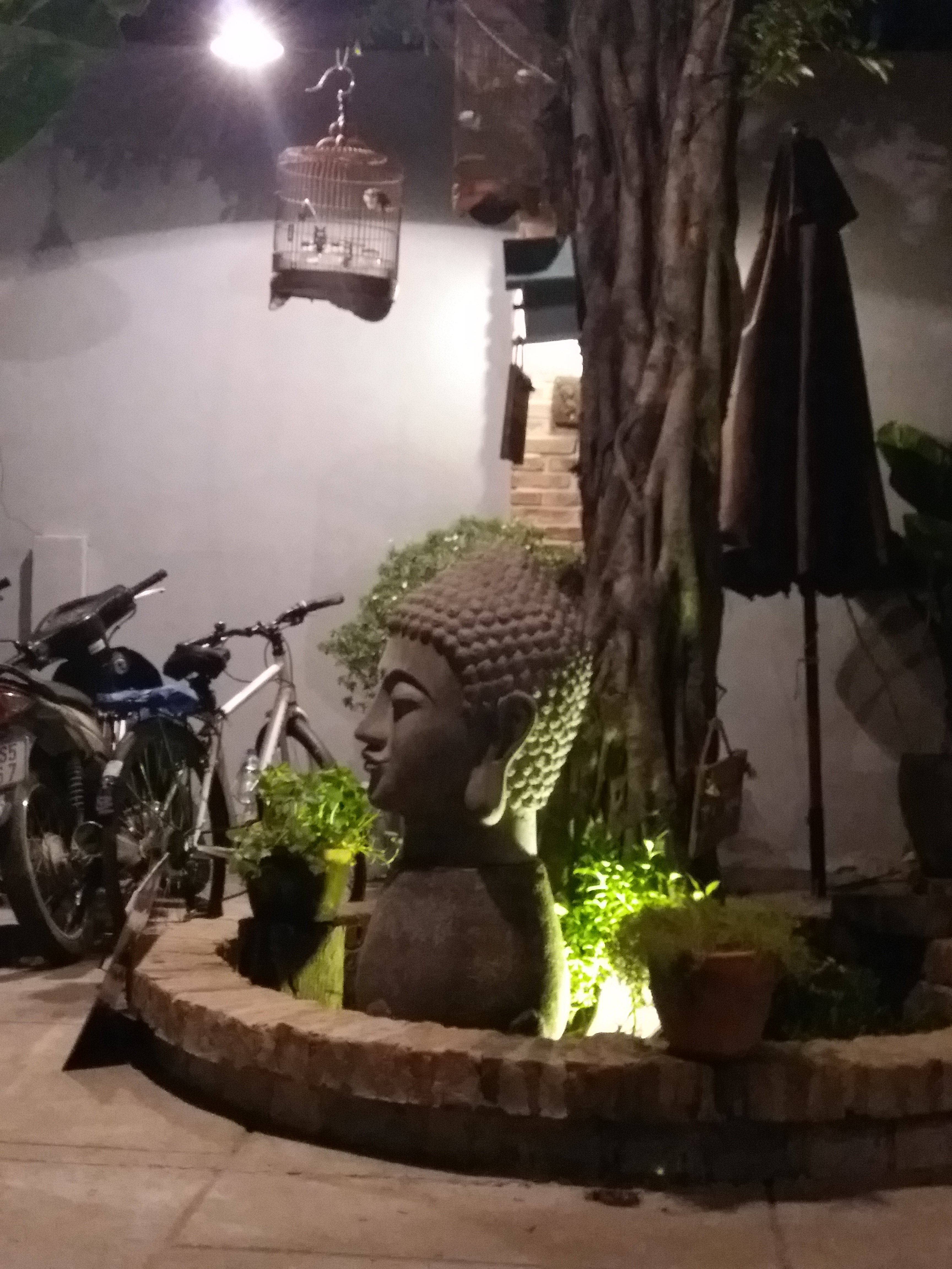 20170118_201253.jpg