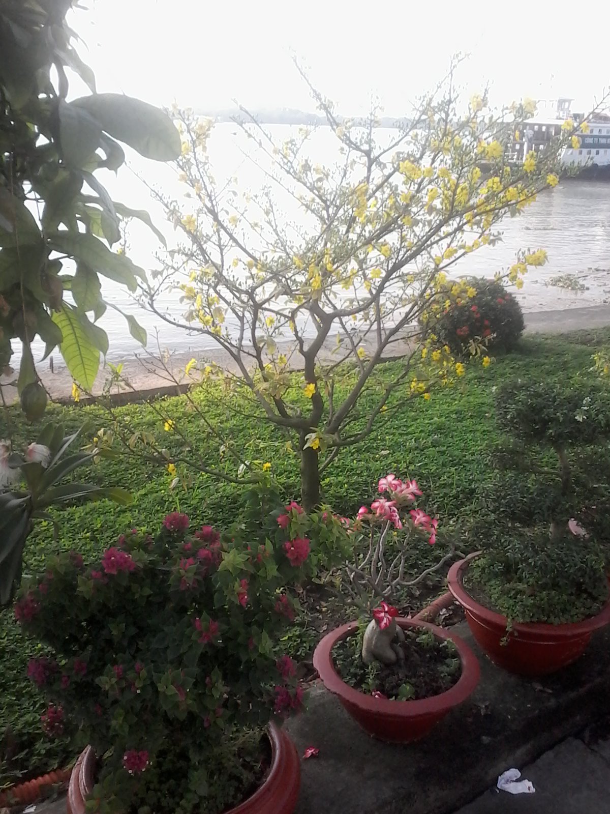20170123_080405.jpg