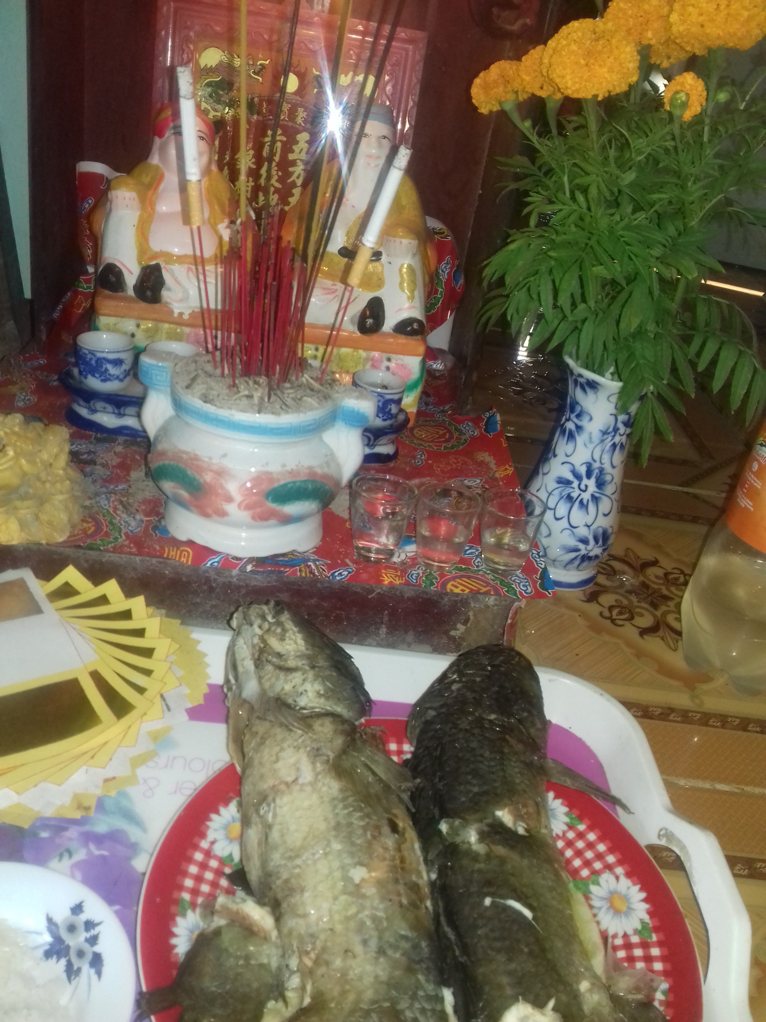20170206_075014.jpg