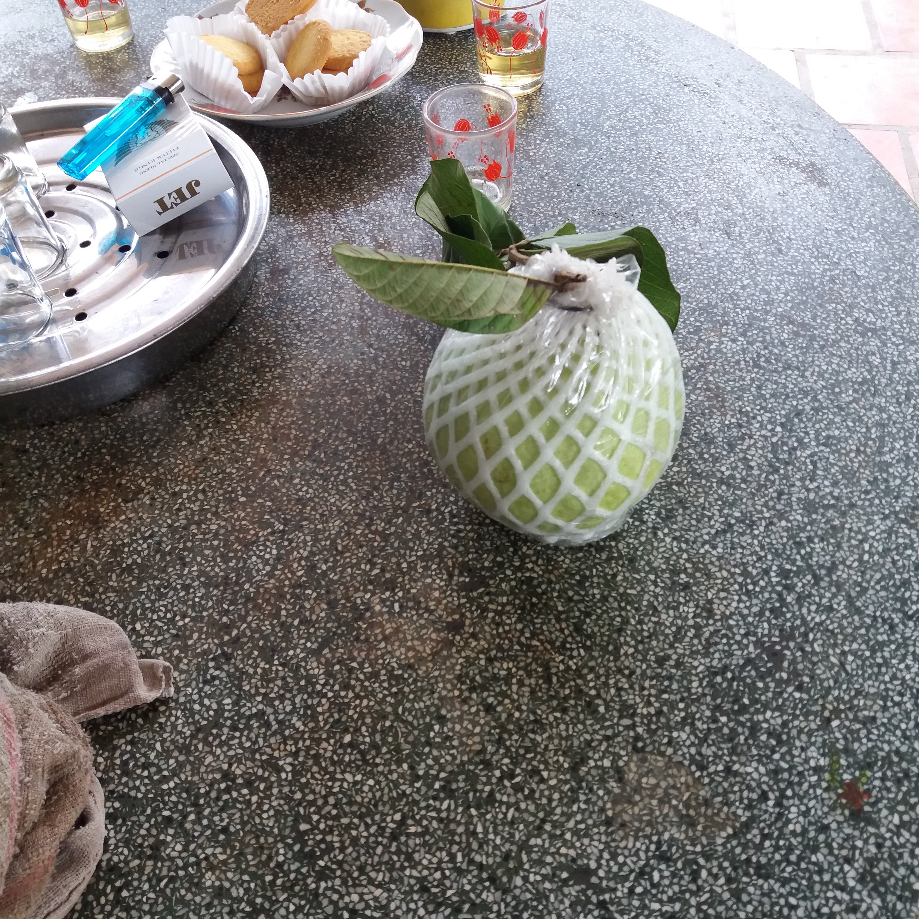 20170223_113344.jpg