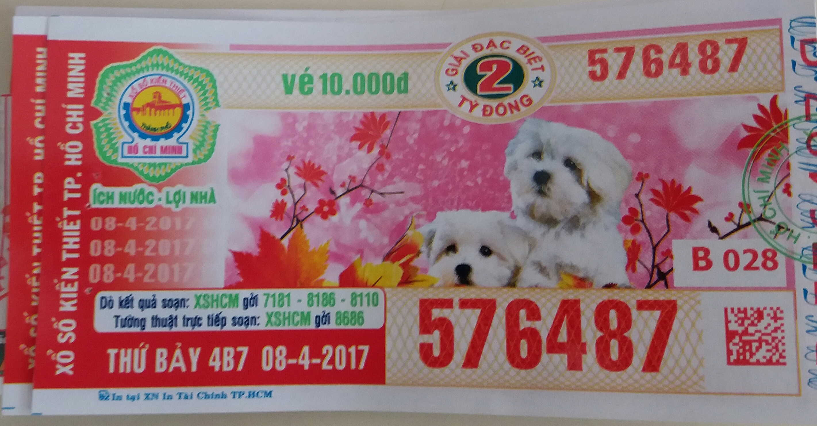 20170408_080346.jpg
