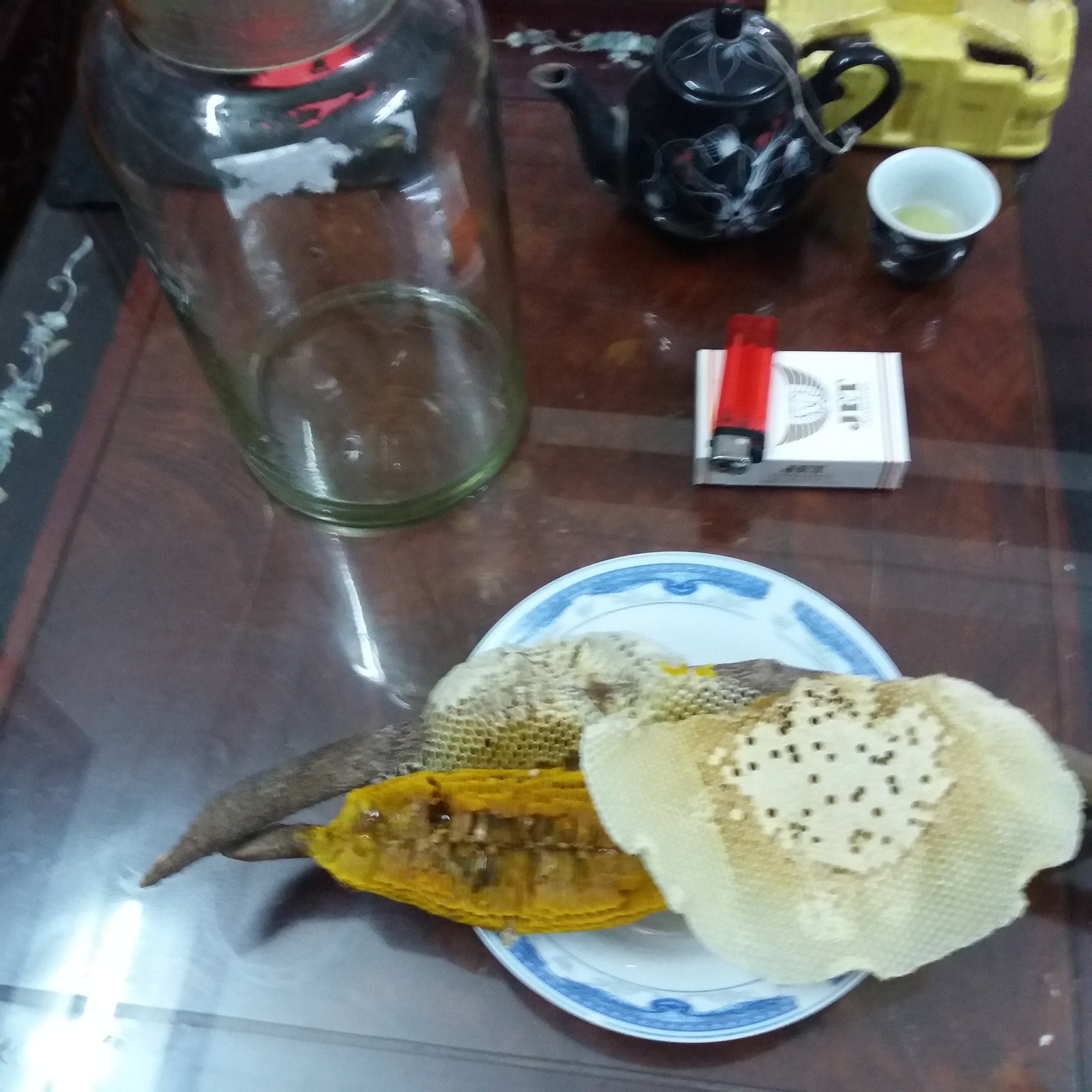 20170505_100724.jpg