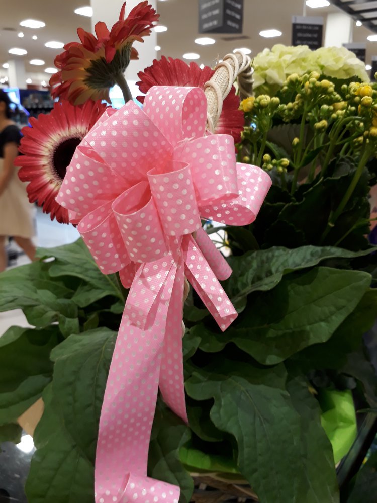 20170518_194739.jpg