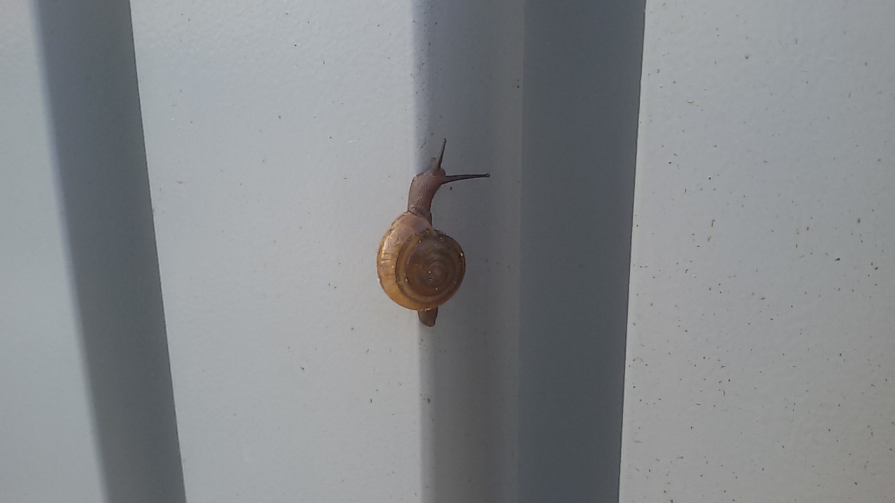 20170522_062304.jpg