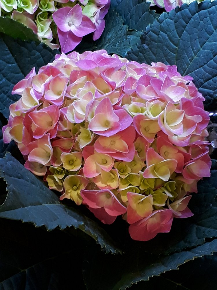 20170806_204301.jpg