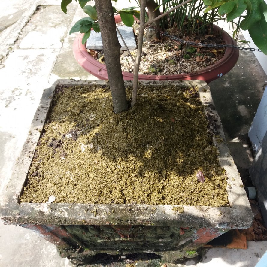 20170809_093925.jpg
