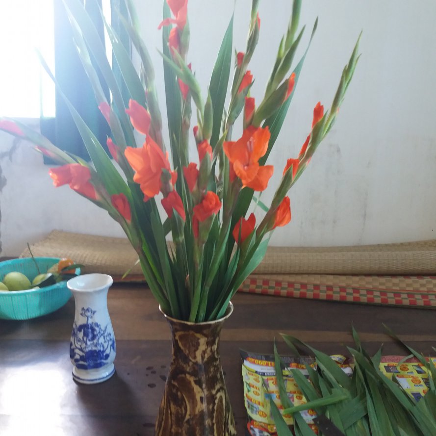 20171004_130913.jpg