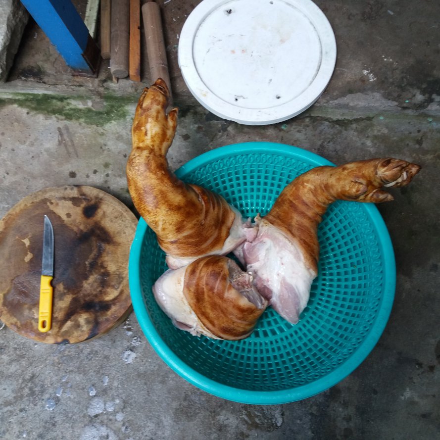 20171005_102041.jpg