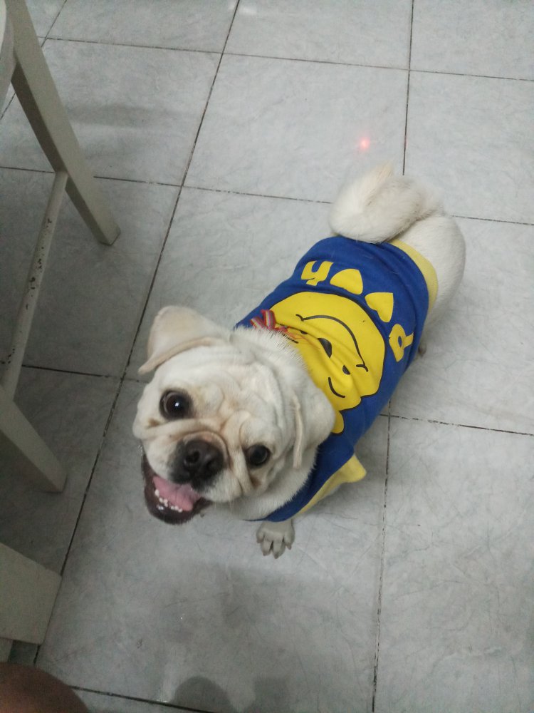 20171113_185836.jpg