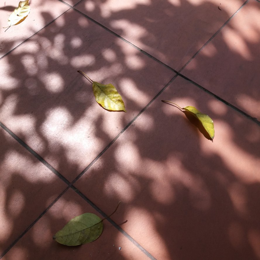 20171126_112454.jpg