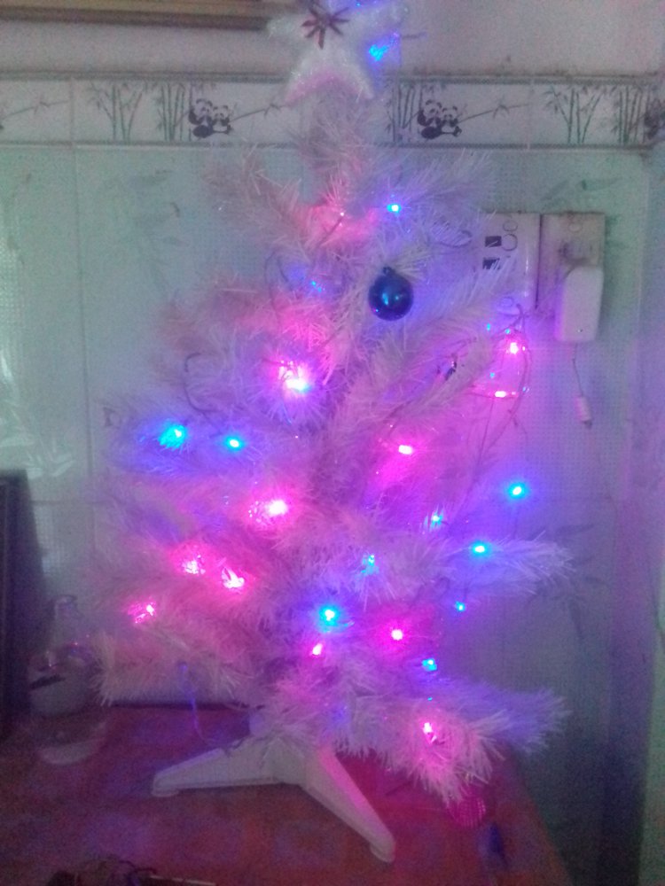 20171219_151329.jpg