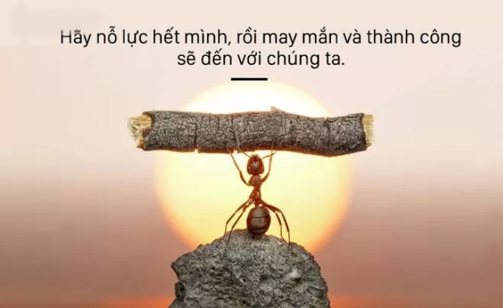 20180104_213916.jpg