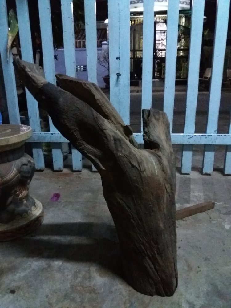 20180121_184903.jpg