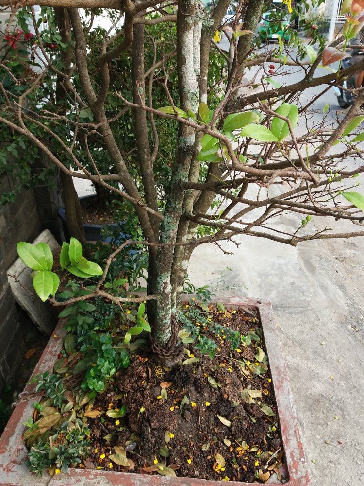 20180205_075615.jpg
