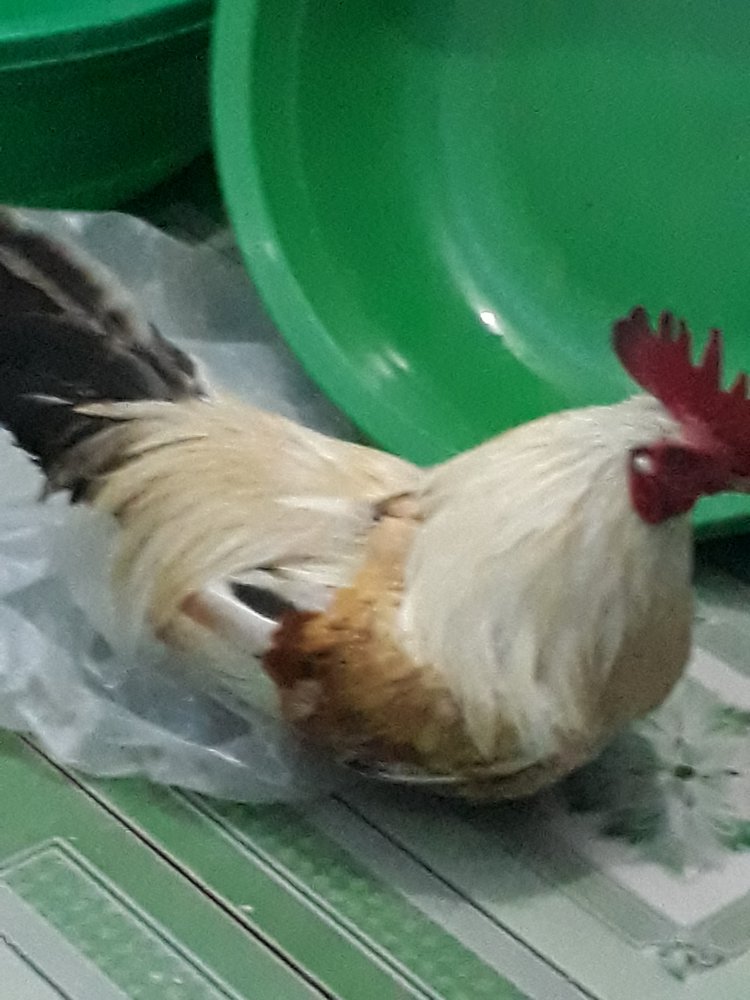 20180217_174733.jpg
